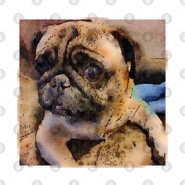 Pug Watercolor by Watery