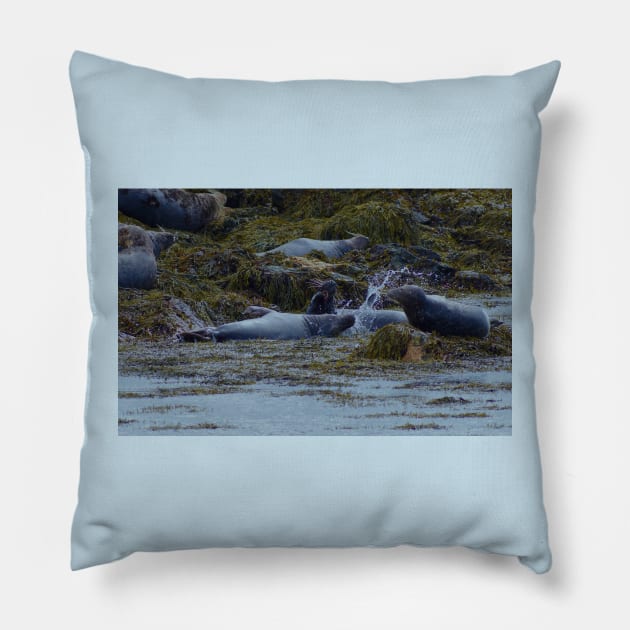 KELP KOMBAT! Pillow by dumbodancer