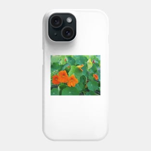 Yellow and orange nasturtiums in my garden Phone Case