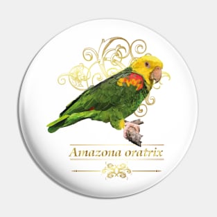 yellow-headed parrot Pin