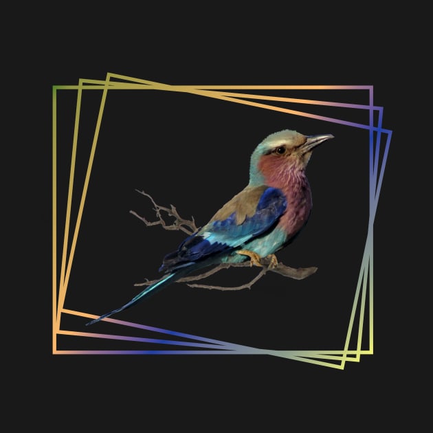 Lilac-breasted-Roller - Bird in Africa by T-SHIRTS UND MEHR