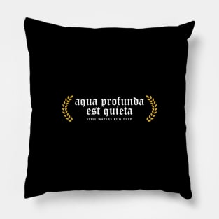 Aqua Profunda Est Quieta - Still Waters Run Deep Pillow