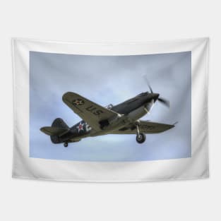 Curtis P40-B Warhawk Tapestry