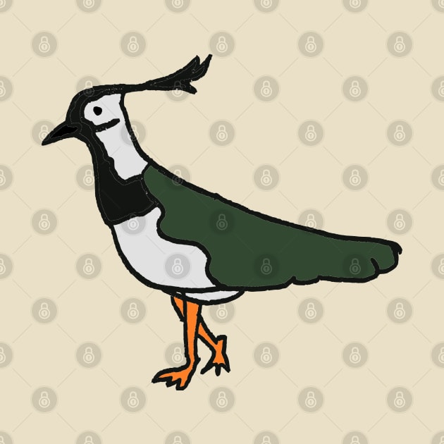 Lapwing by JennyGreneIllustration