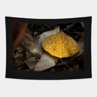 Aspen Fall Leaf Tapestry