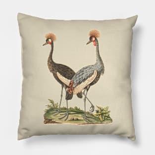 Wildlife Birds Illustration of Crowned African Crane Pillow