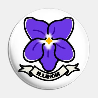 Illinois Pin