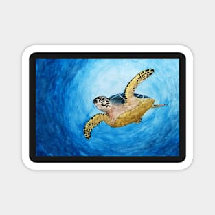 Green Sea Turtle Magnet