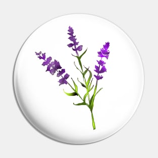 Beautiful Lavender flower Lavender lover botanist wildflower Pin