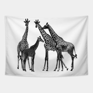 Giraffe - Family on Safari in Kenya / Africa Tapestry