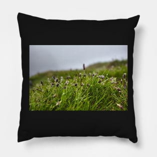 Grass and buds with morning dew Pillow