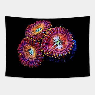 Zoanthid Tapestry