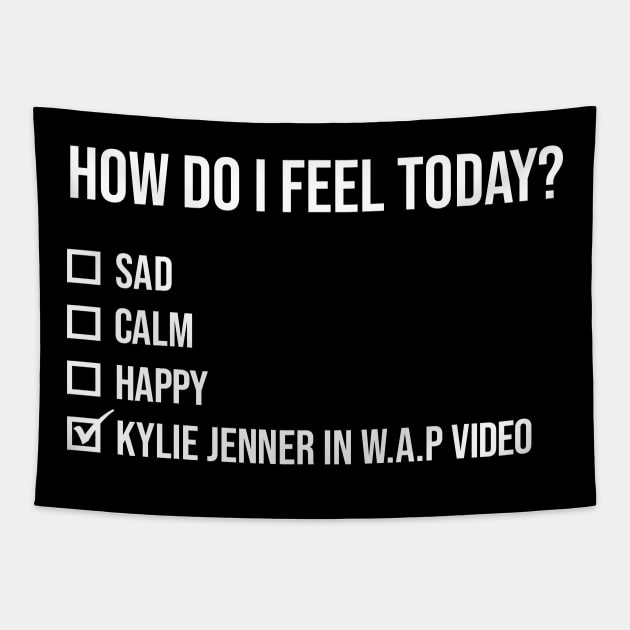 WAP Kylie Jenner Mood Funny Quote Wap Tapestry TeePublic