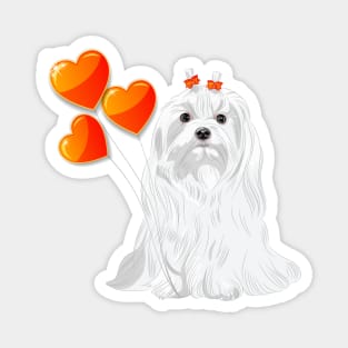 Valentine card with a dog Maltese Magnet