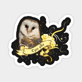 Barn owl Magnet