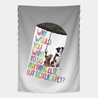 Why  would  you  want  to do  anything else  but rescue a pet? Tapestry