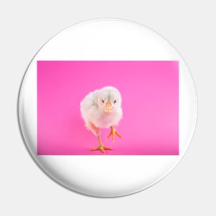 Chick Pin