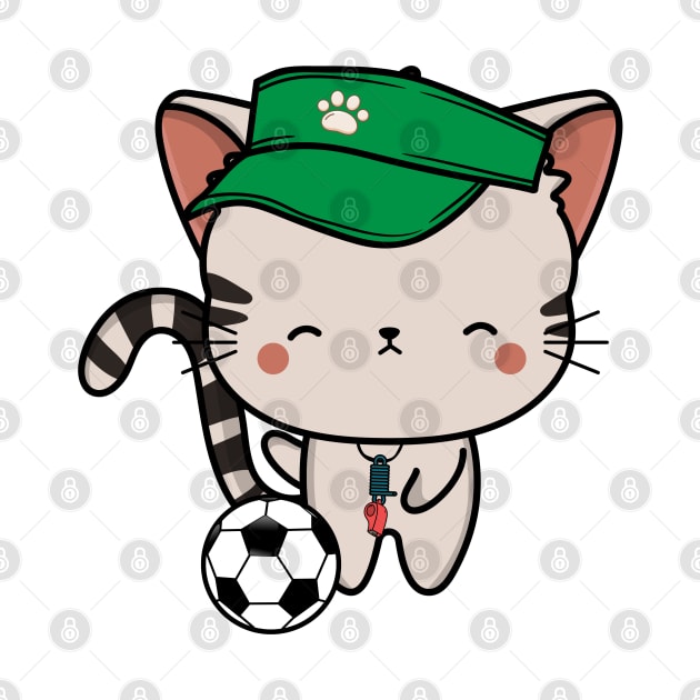 Tabby Cat Playing Soccer by Pet Station