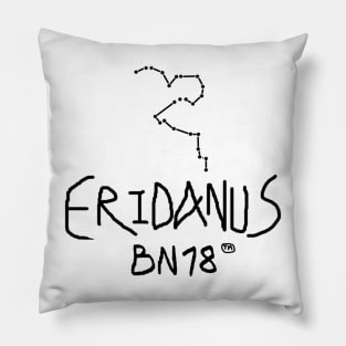 Eridanus Constellation by BN18 Pillow