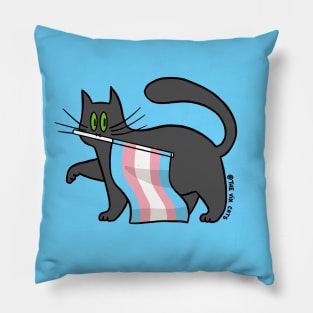 Transgender Pride Pillow