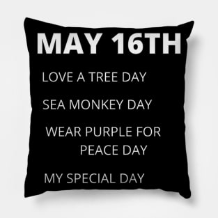 May 16th holidays. Pillow