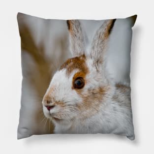 Snow Shoe Hare Pillow