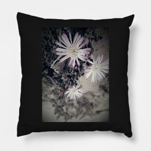 Pink Succulent Flower Blossom Pillow