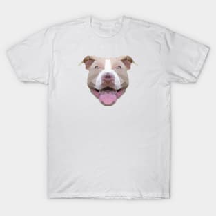 pitbull t shirts for sale