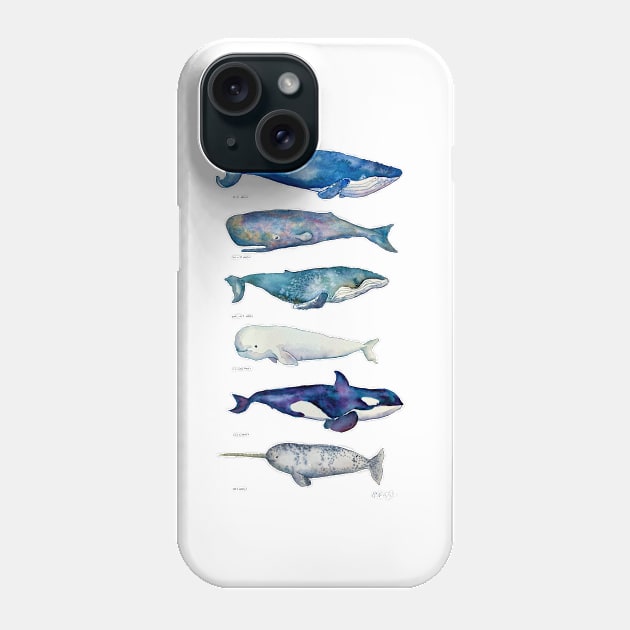 Whale Species Phone Case by CunninghamWatercolors