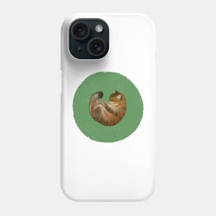 orange napping kitty Phone Case