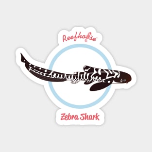 Zebra Shark Magnet