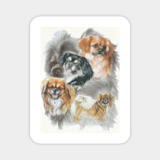 Tibetan Spaniel Medley Magnet