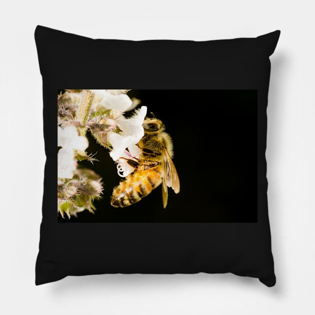 Bee Pillow by Proph