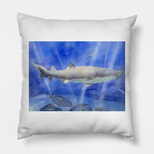 Shark Watercolor Painting Pillow