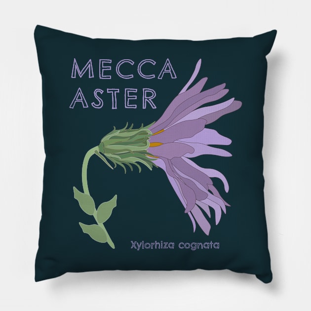 Orocopia Mountains Wilderness- Mecca Aster Pillow by Spatium Natura