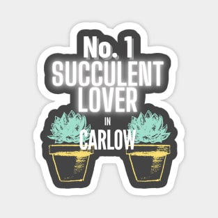 The No.1 Succulent Lover In Carlow Magnet