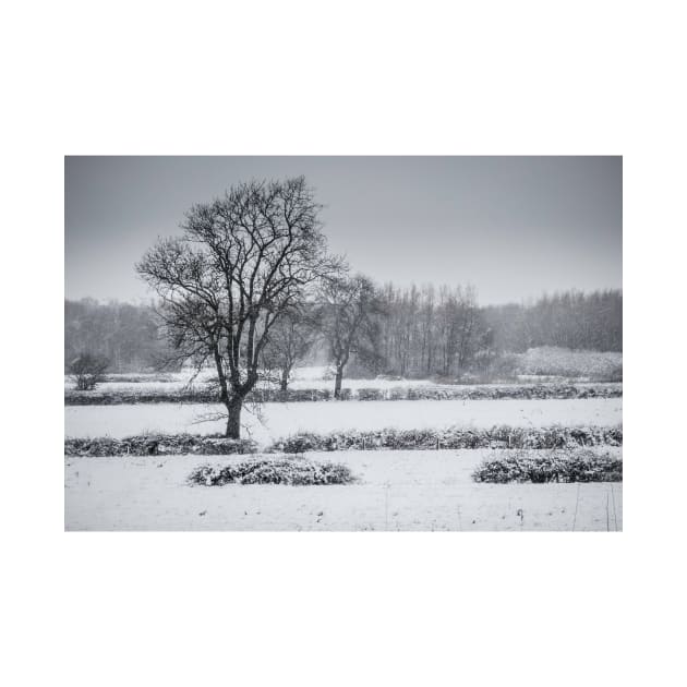 Clifton-Upon-Dunsmore Snow scene by bywhacky