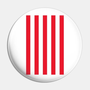 Red & White Stripes Pin