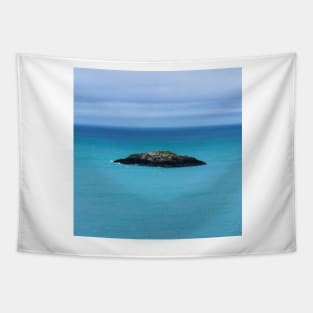 Cute tiny island off the coast of Anglesey, North Wales Tapestry