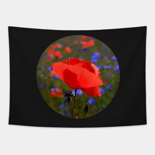 Beautiful Red Poppy Tapestry