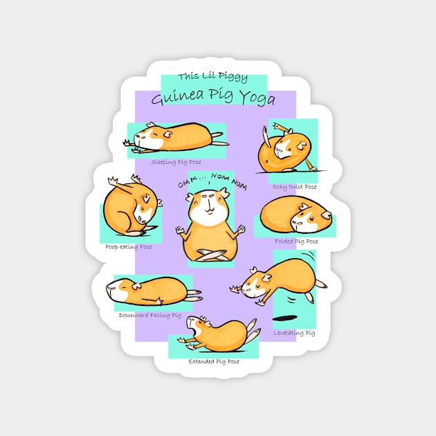 Guinea Pig Yoga 2 Magnet by shiro