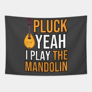 I Play The Mandolin Tapestry