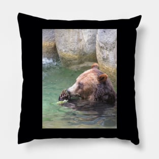 Bear Playing In Water Pillow