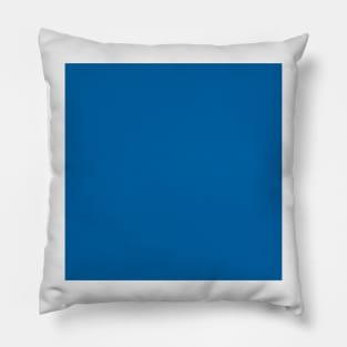 Plain Skydiver Blue solid color Spring/Summer (2022) NYFW Pillow