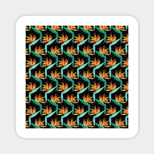 Bird Of Paradise Magnet