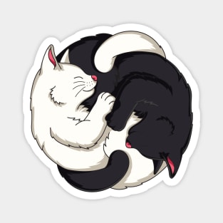 Cute Cat Ying Yang Cat Kitten Lover Magnet