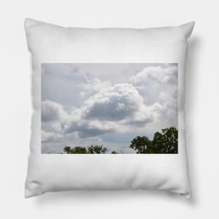 Puppy Dog cloud Pillow