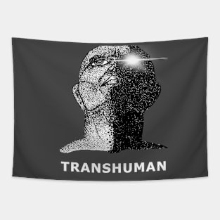 Transhuman Evolution of Man in Dystopian Future Artwork (black/white) Tapestry