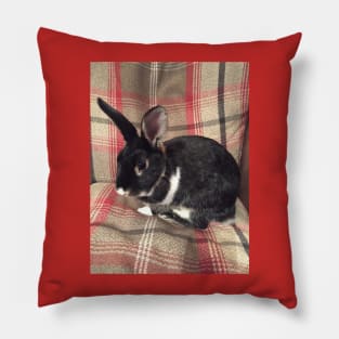 Tartan Easter Baby Bunny Rabbit Pillow