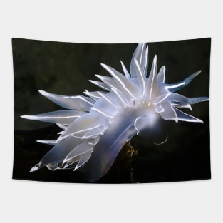 Underwater Nudi Tapestry